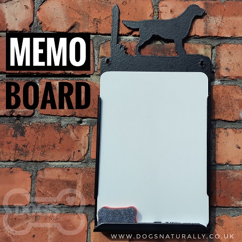 Dog Lover Memo Board (Flat Coated Retriever)
